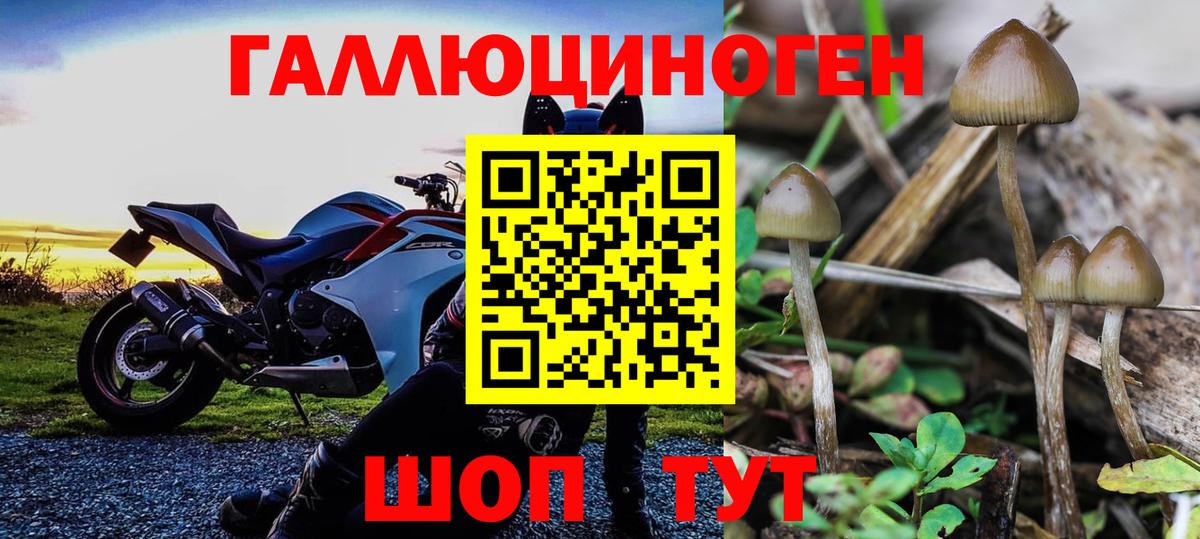 Белгород  Галлюциногенные грибы Psilocybe  Галлюциногенные грибы GOLDEN TEACHER  Вход с VPN 