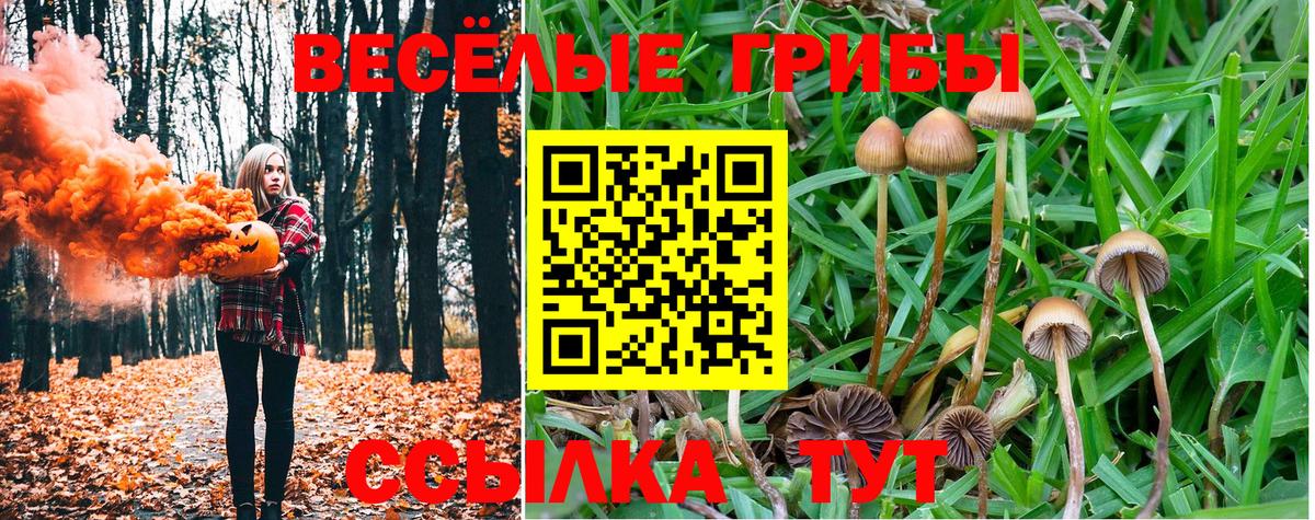 Псилоцибиновые грибы прущие грибы Белгород